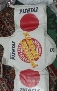 هوگو تکواندو