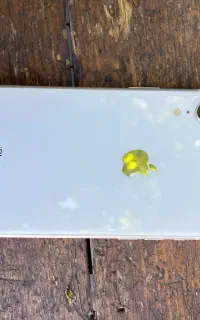 آیفون xr