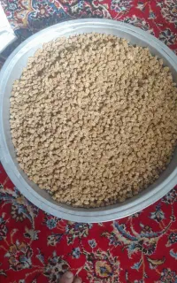 توت خشک