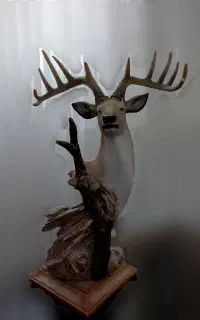 مجسمه گوزن