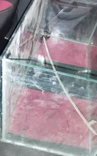 اکواریوم