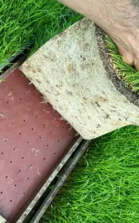 نشا، توم هاشمی و پر محصول  بیش ازهزارباکس