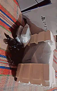 پی اس 5بفروش میرسد