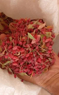 زرشک پفکی فروش فوری