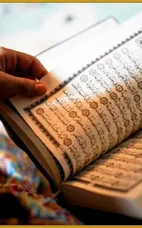 فقط ۴۰ هزار