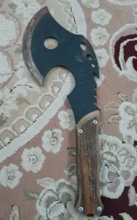 پردیس کوی ملاشیه