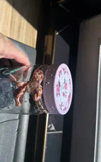 شیشه حبوبات و ادویه