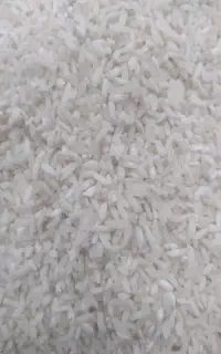 سرلاشه هاشمی