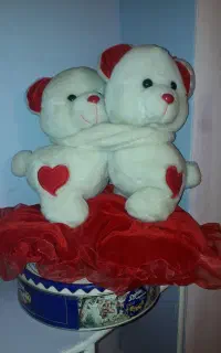 یک جفت عروسک خرسی