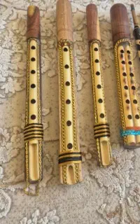 نی انبان حرفه ای