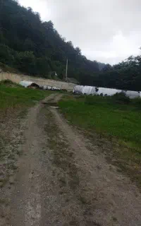 نگهبانی ۲۴ ساعته