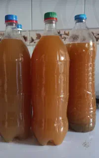 آبغوره تازه و طبیعی و خالص