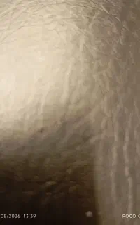 مدارک شناسایی گمشده است