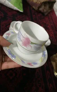 فروش فنجون و زیرفنجونی