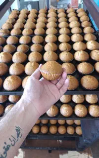 استخدام شاطر نان فانتزی