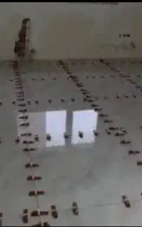پیمانکاری ساختمانی