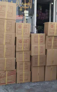 همکار خانم