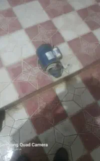دینام آب