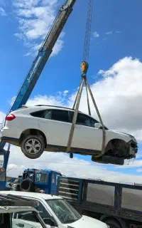 بی وای دی ، S6