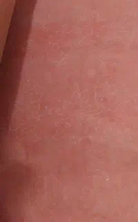 موکت صورتی