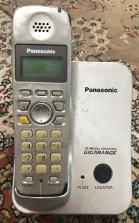 پاناسونیک اصل