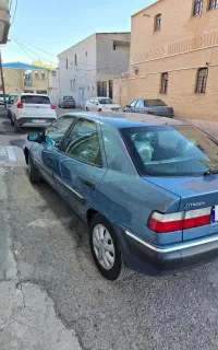 زانتیا اطلسی