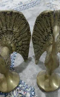 طاووس