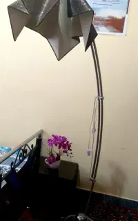 آباژور در حد نو