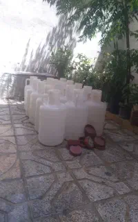دبه خیارشور