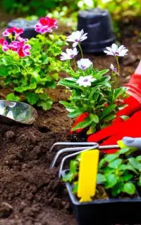 خدمات باغبانی کوددهی گلکاری کاشت گل