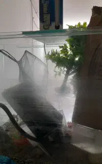 یک عدد آکواریوم