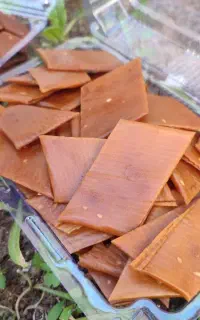 محصولات خانگی و شیرینی تازه  ارسال به شهرها