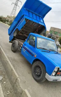 وانت نیستان تک سوز رادیال اپشنال