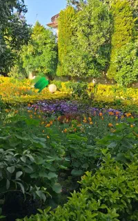 خدمات باغبانی و درختکاری