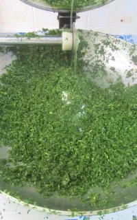 سبزی قرمه سرخ شده