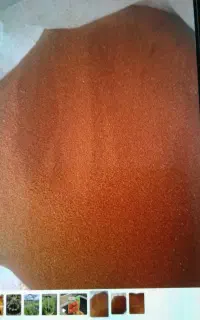 فروش محصول خاکشیردرجه یک اعلا