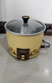 ارام پز هیتاچی