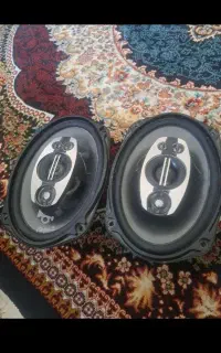 باند پایونر