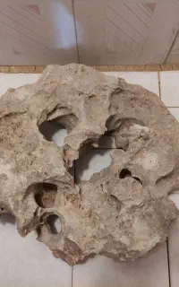سخره