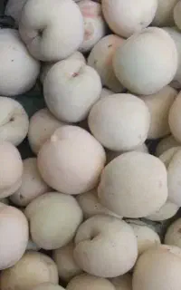 شفتالو ارگانیک