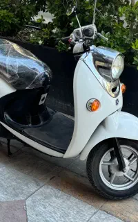 پاکشتی