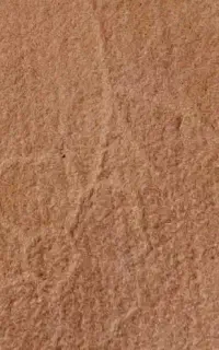موکت