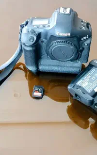 Canon EOS 1D Mark III  - 3