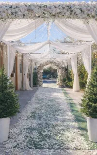 نیروی پذیرایی