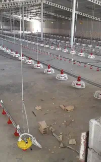 لوازم مرغداری هواکش دانخوری آبخوری پدسلولزی
