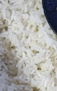 فروش به قیمت عمده برنج چمپا