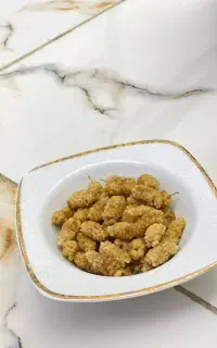 فروش توت