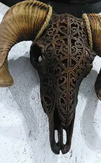 انواع دکوری جات