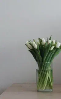 فروش سیمکارت دائمی 0915 332 8137