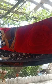موکت. فروشی